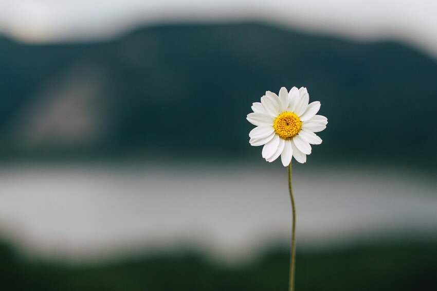 闺蜜日是几月几日(七夕闺蜜和对象一起我可以参与吗)